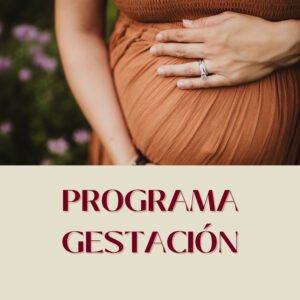 Programa Gestación