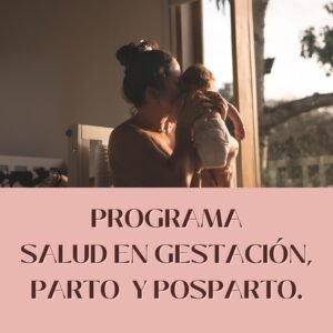 Programa: Salud en gestación, parto y posparto